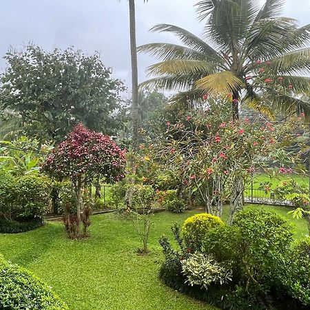 Surveyor'S Residence Bungalow Kandy Esterno foto