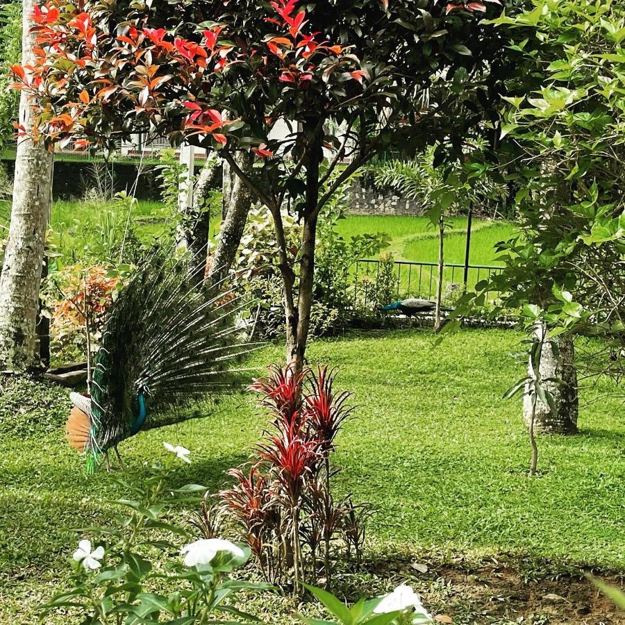 Surveyor'S Residence Bungalow Kandy Esterno foto