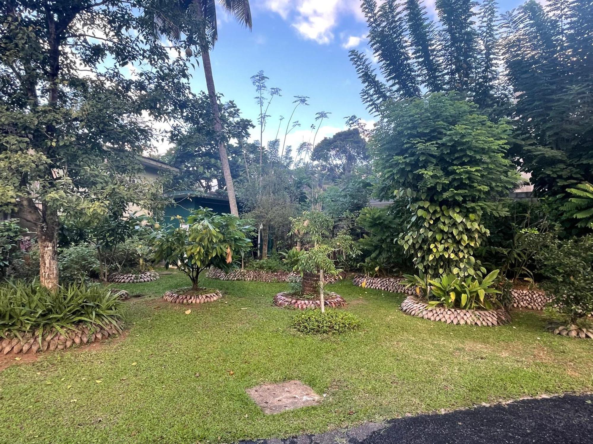 Surveyor'S Residence Bungalow Kandy Esterno foto